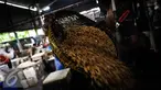 Suasana pabrik pembuatan tahu di kawasan Duren Tiga, Jakarta, Kamis (6/10). Perajin tahu dan tempe mengeluhkan kenaikan harga kedelai impor dalam satu bulan terakhir. (Liputan6.com/Faizal Fanani)
