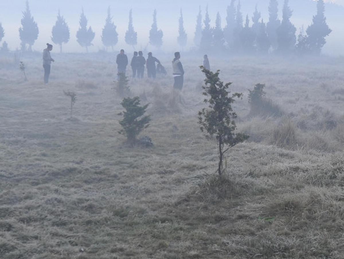 Dinginnya udara Dieng sampai embun berubah jadi es