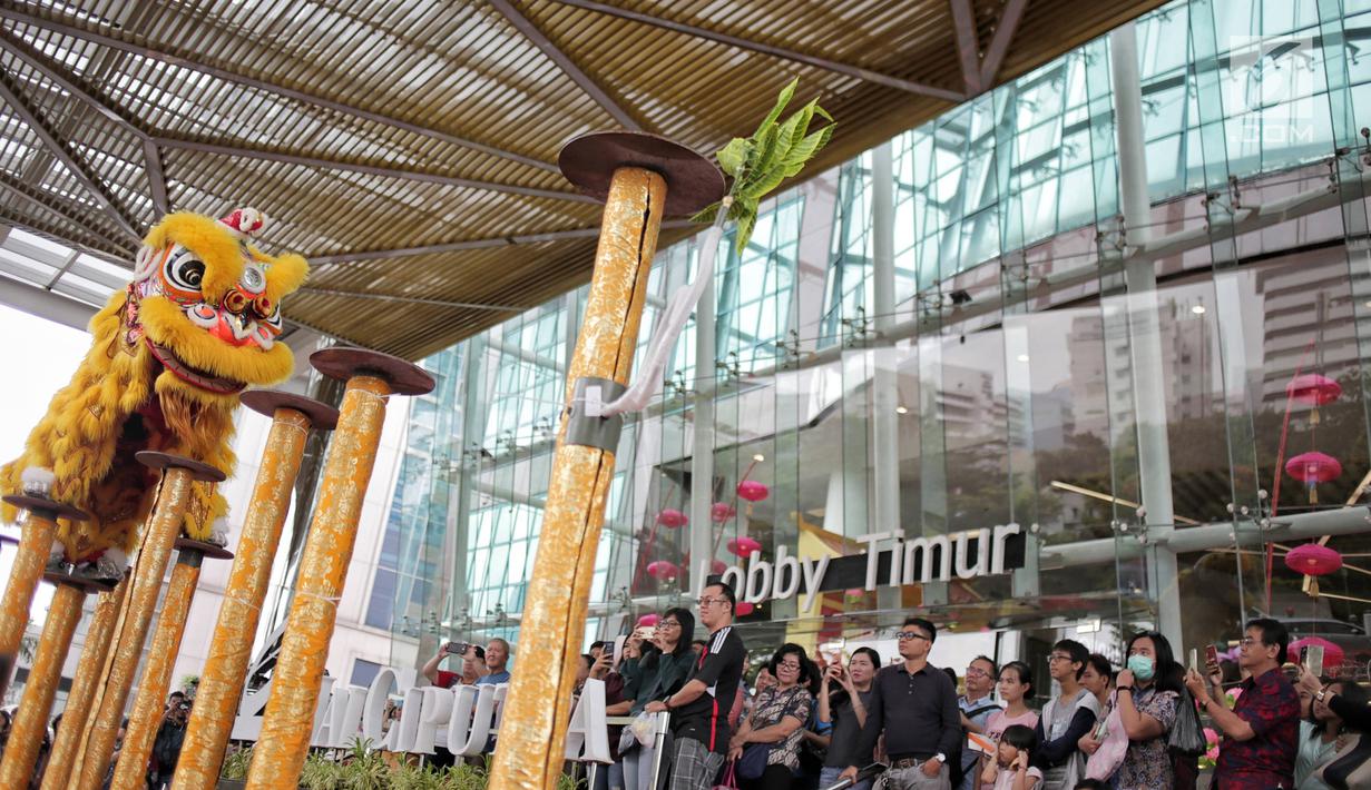 Atraksi barongsai tampil menghibur pengunjung di Mal Ciputra, Jakarta, Jumat (25/1). Menyambut Tahun Baru Imlek 2570 berbagai kesenian tradisional disajikan seperti Wayang Potehi, festival kuliner dan atraksi karakter 7 babi. (Liputan6.com/Faizal Fanani)