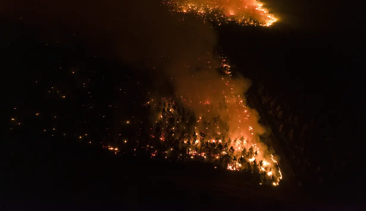 Kebakaran menghanguskan hutan di dekat Ituzaingo, provinsi Corrientes, Argentina (19/2/2022). Kebakaran terus melanda provinsi Corrientes yang telah menghanguskan lebih dari setengah juta hektar. (AP Photo/Rodrigo Abd)