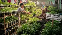 7 Tanaman Herbal untuk Usia 50 Tahun ke Atas yang Mudah Dirawat &amp; Bermanfaat untuk Kesehatan