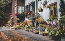 9 Cara Memanfaatkan Lahan Sempit untuk Kebun Mini yang Aman dan Kreatif, Tunjang Produktivitas di Rumah
