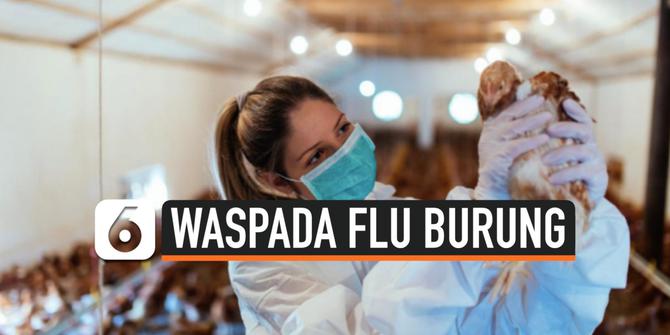 VIDEO: Rusia Temukan Virus Flu Burung H5N8 Pada Manusia