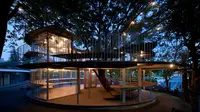 Taman Kanak-kanak ini Dibuat Mengelilingi 'Pohon Ajaib'