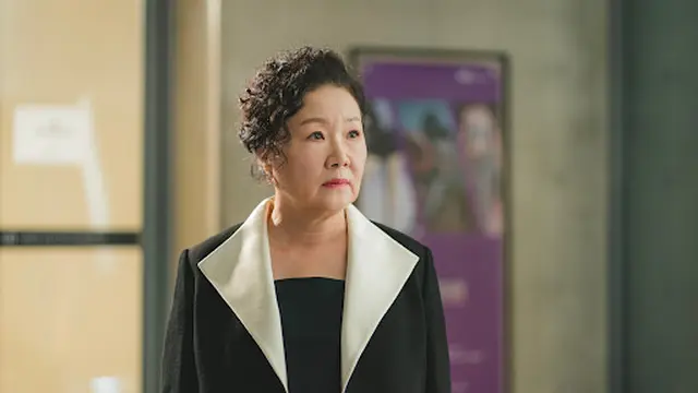 Kim Hae-Sook di Who is She!