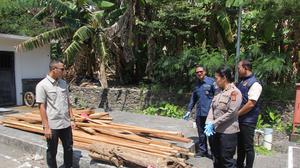 Tebang Pohon di Hutan Lindung Bali, 2 Orang Ditetapkan Tersangka