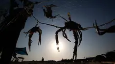 Nelayan Palestina menangkap kepiting di pantai laut Mediterania di Beit Lahyia, Jalur Gaza utara pada 21 September 2020. (AP Photo / Hatem Moussa)