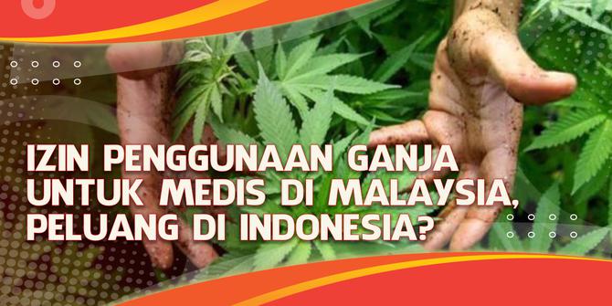 VIDEO Headline: Izin Penggunaan Ganja untuk Medis di Malaysia, Peluang di Indonesia?