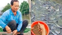 Pria Ini Sukarela Beri Makan Ribuan Ikan di Sungai Tiap Hari (Sumber: Oddity Central)