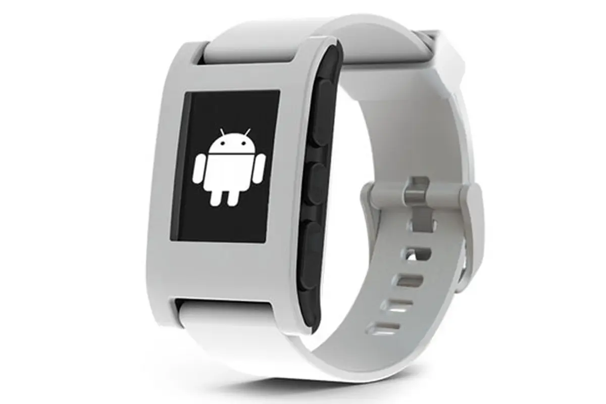pebble-140204b.jpg