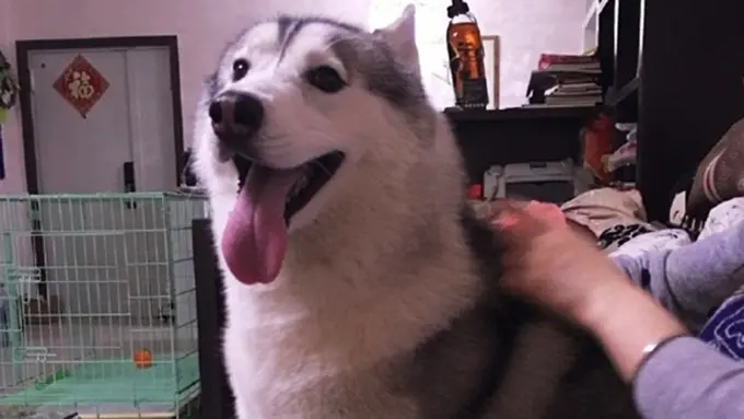 Photo: Copyright dailymail.co.uk