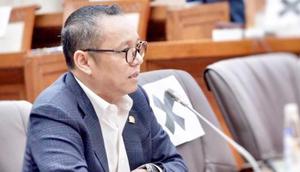 Anggota Komisi VI DPR RI, Deddy Yevri Sitorus. (Istimewa)