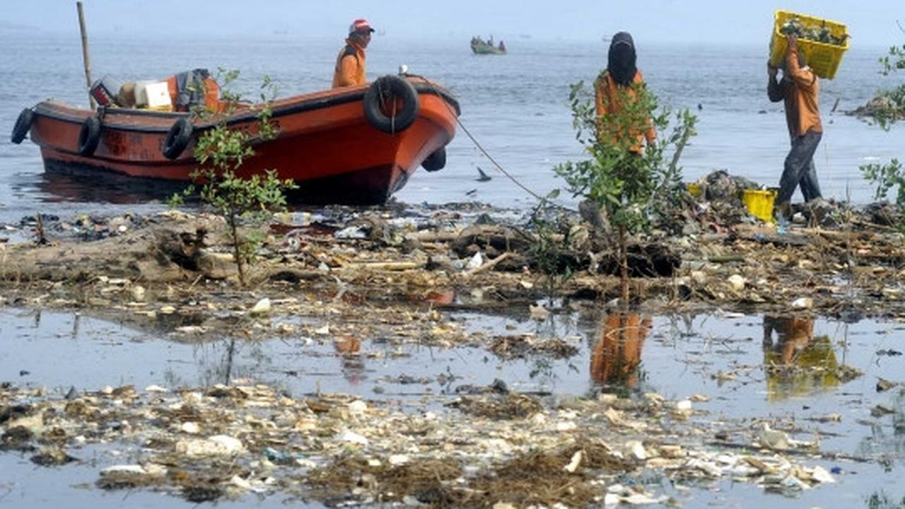 Melihat aksi para penjaga kebersihan pantai
