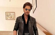 Heboh Shahrukh Khan Kecelakaan dan Cedera Parah di Lokasi Syuting, Ternyata Begini Fakta Sebenarnya