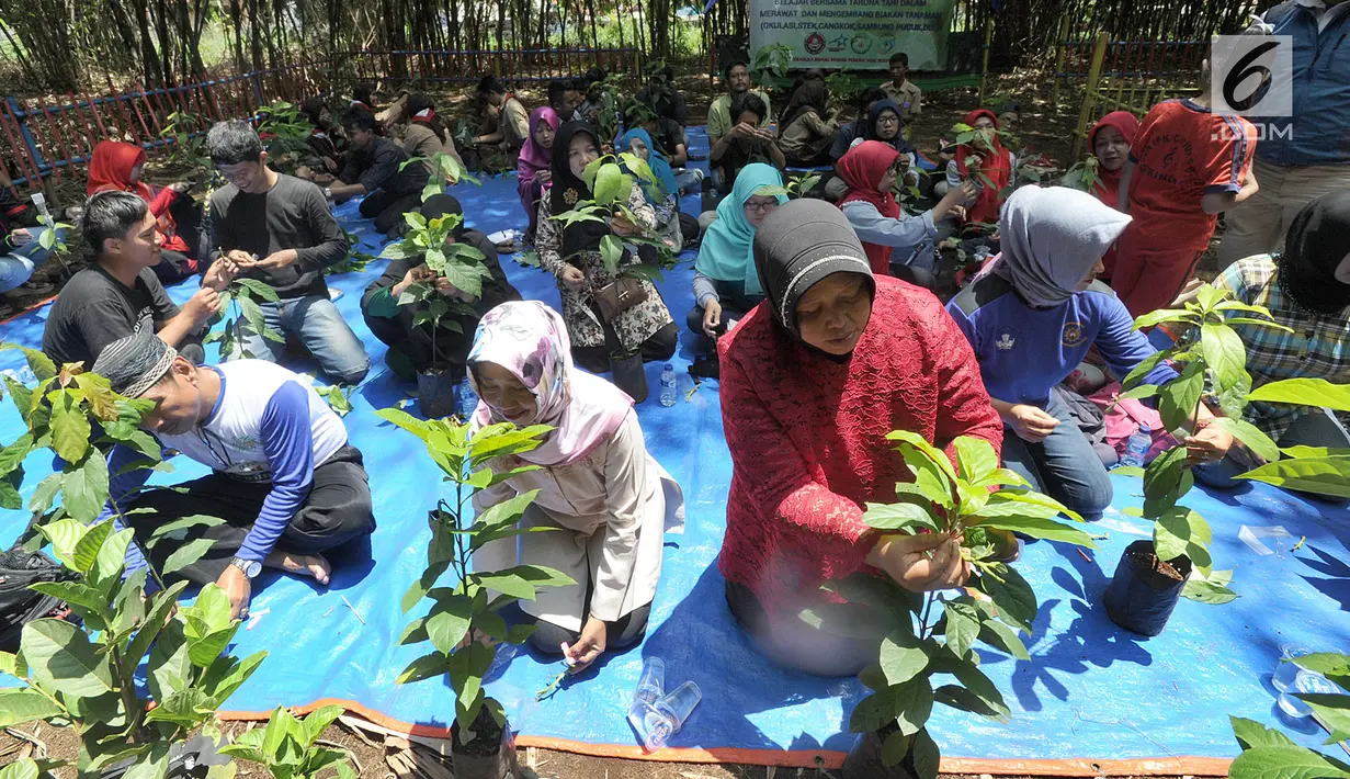 Peserta mengikuti kegiatan belajar bersama taruna tani dalam merawat dan mengembangbiakkan tanaman di Cibinong, Bogor, Kamis (22/11). Kegiatan ini diikuti pelajar, karang taruna, ibu-ibu PKK, dan pengangguran. (Merdeka.com/Arie Basuki)