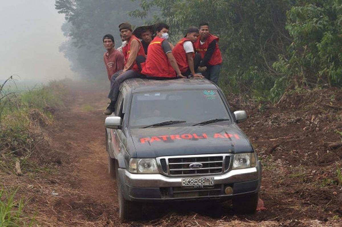 Kisah pekerja kebun kelapa sawit berjibaku padamkan kebakaran hutan