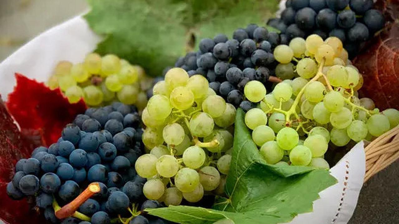 10 Buah Penurun Kolesterol Paling Cepat yang Wajib Dicoba