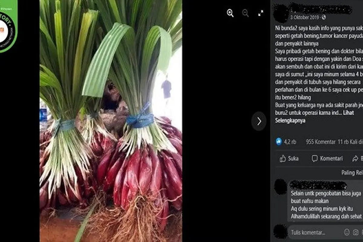 Gambar Tangkapan Layar Klaim Bawang Dayak dapat Menyembuhkan Getah Bening, Tumor, dan Kanker (sumber: Facebook).