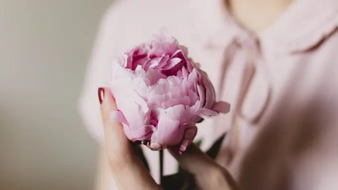 Ilustrasi./Copyright pexels.com