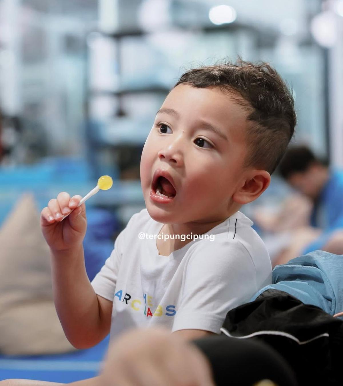 5 Potret Cipung dengan Lolipop di Tangan, Ekspresi Lucunya yang Sukses Curi Perhatian