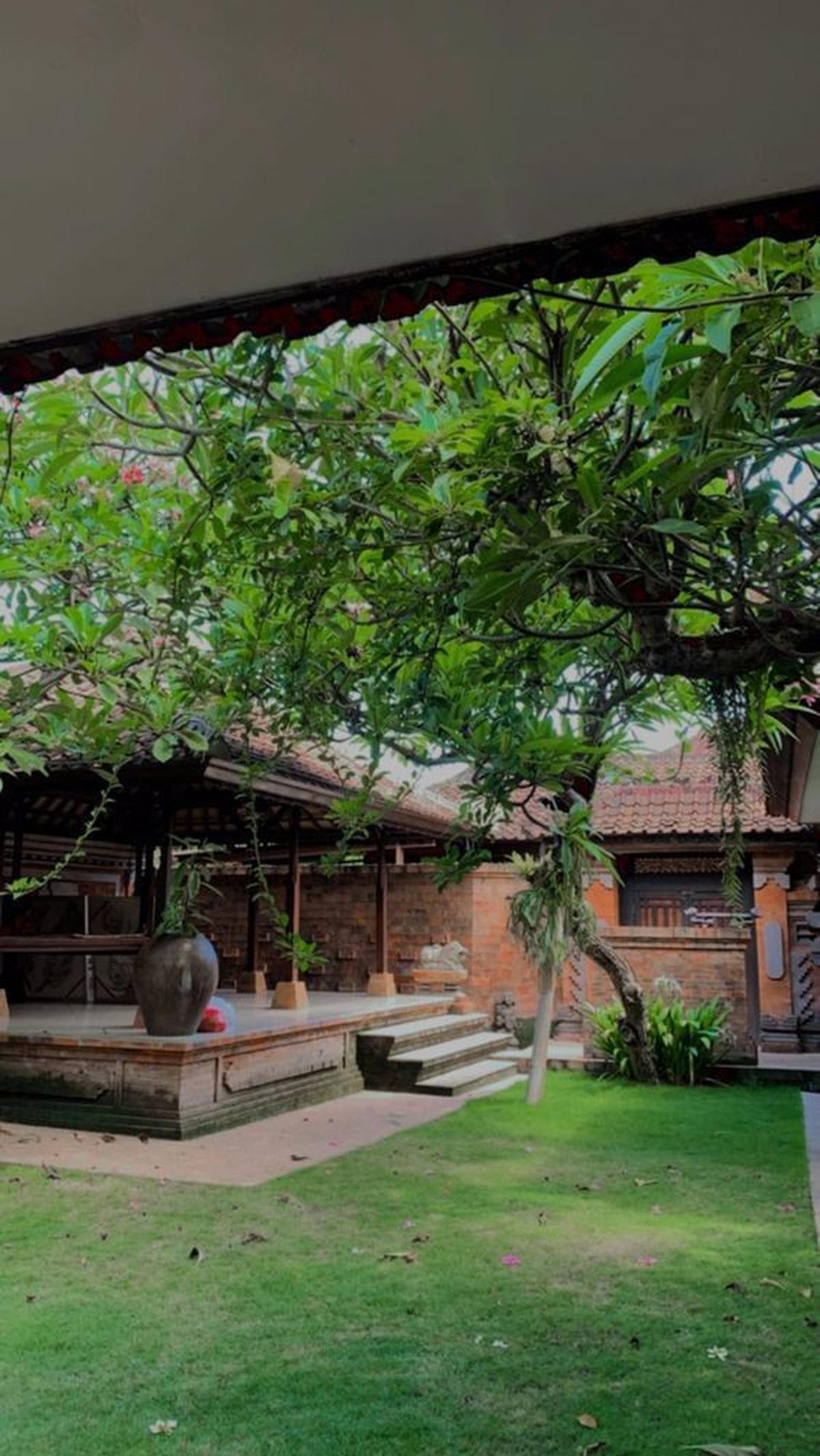 Taman Bali Minimalis yang Rindang di dalam Rumah