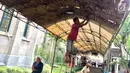 Pekerja memasang dekorasi Natal di Gereja Katedral, Jakarta, Selasa (19/12). Persiapan seperti perawatan interior-eksterior gereja serta pemasangan dekorasi mulai dilakukan pihak gereja untuk menyambut Hari Raya Natal. (Liputan6.com/Immanuel Antonius)