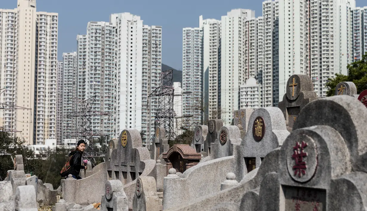 Seorang wanita membawa bunga berjalan melewati batu nisan saat berziarah untuk menyambut festival Ching Ming di Hong Kong (2/4). Ritual ini pada umumnya dirayakan pada tanggal 5 April atau 4 April pada tahun kabisat. (AFP/Dale De La Rey)