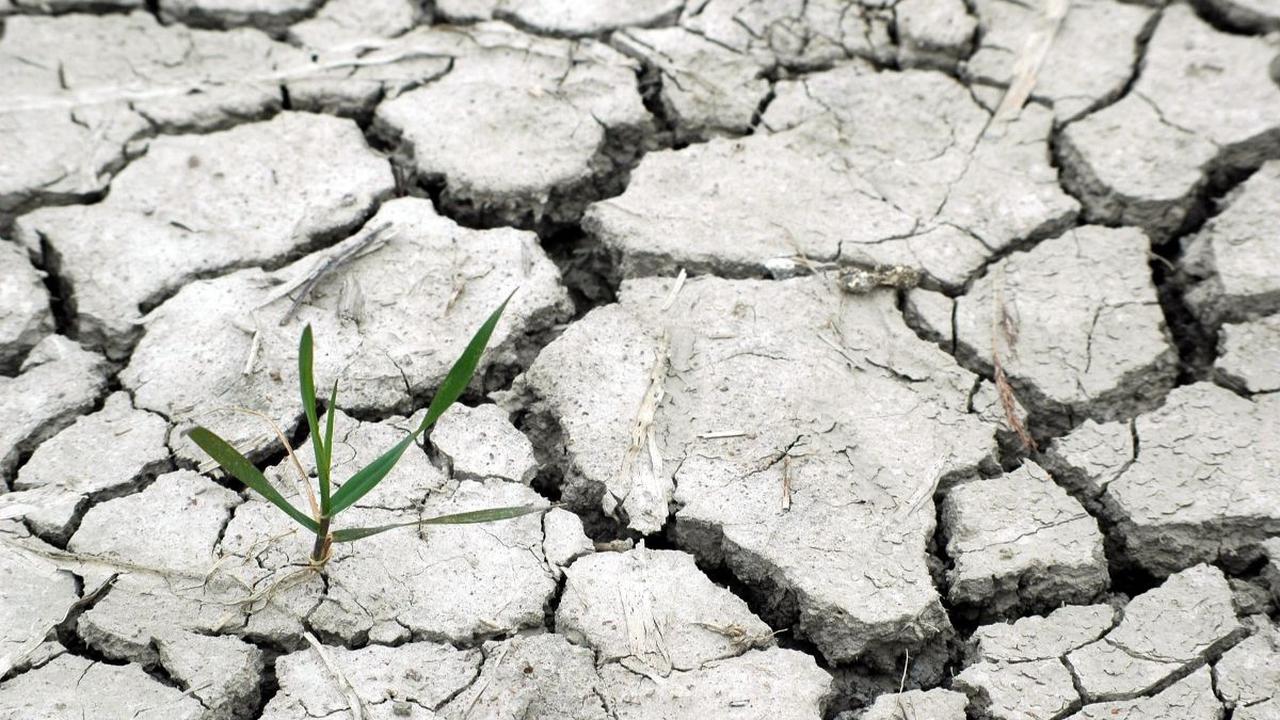 Cuaca panas dan kekeringan air akibat fenomena gabungan kemarau dan EL Nino.