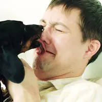 Pernahkah kamu melihat anjing menjilat manusia secara slow motion.