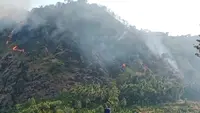 Kebakaran di Puncak Habibie Sukabumi Meluas, Ini Penyebabnya