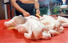 Cara Efektif Merebus Ayam Potong Bebas Kolesterol Agar Lemaknya Berkurang