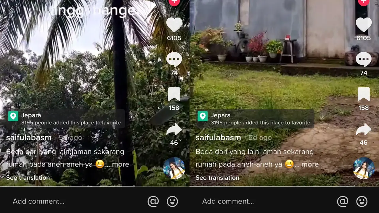 Viral Rumah Unik Setinggi Pohon Kelapa, Bikin Warganet Bingung Punya