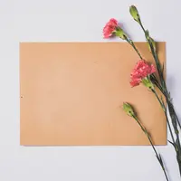 Ilustrasi Surat/https://unsplash.com/Edward&nbsp;Howell