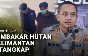 Pembakar Hutan Kalimantan Ditangkap