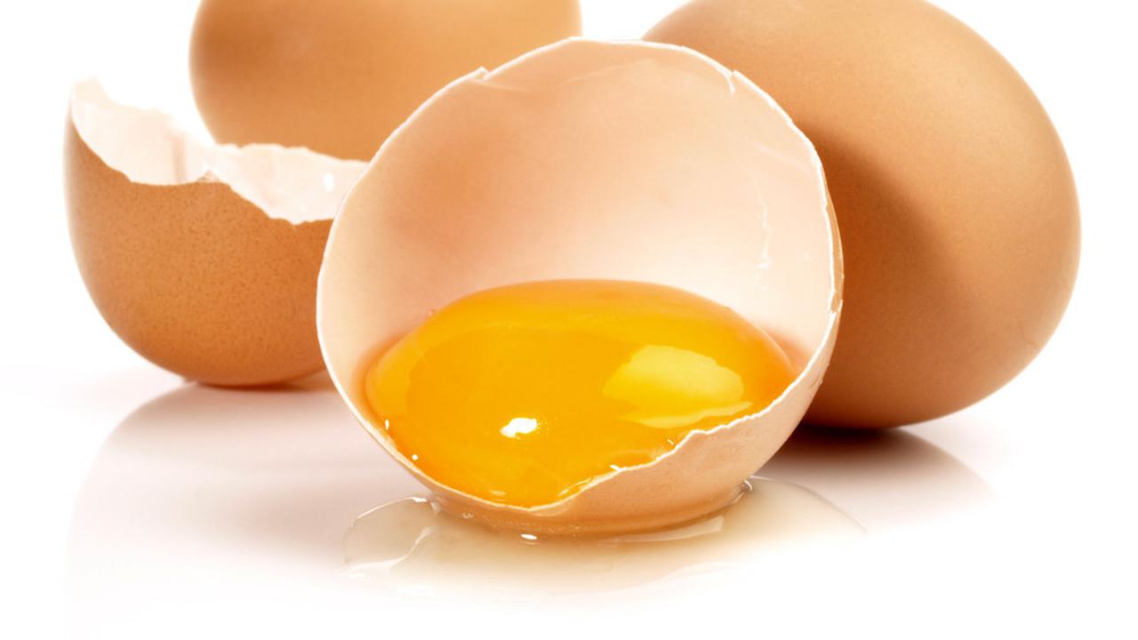 Kuning Telur