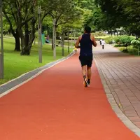 Jogging (credit: Pinterest/H3R Store/Health)