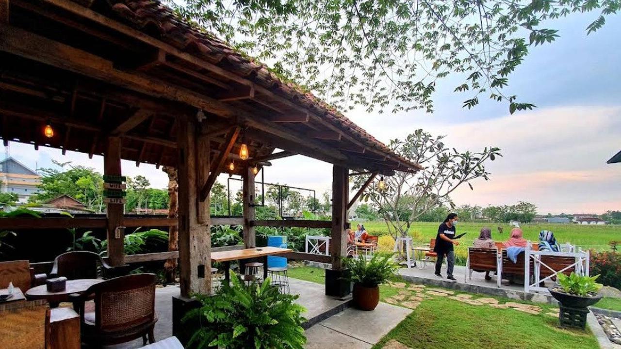 20 Tempat Makan View Sawah di Jogja, Makan Enak Sekalian Lepas Penat