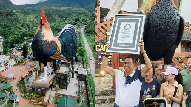 Hotel Berbentuk Ayam