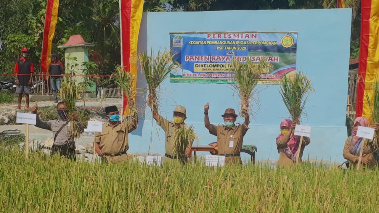 Punya Irigasi Perpompaan, Petani Gunungkidul Siap Tanam Padi Musim Ketiga
