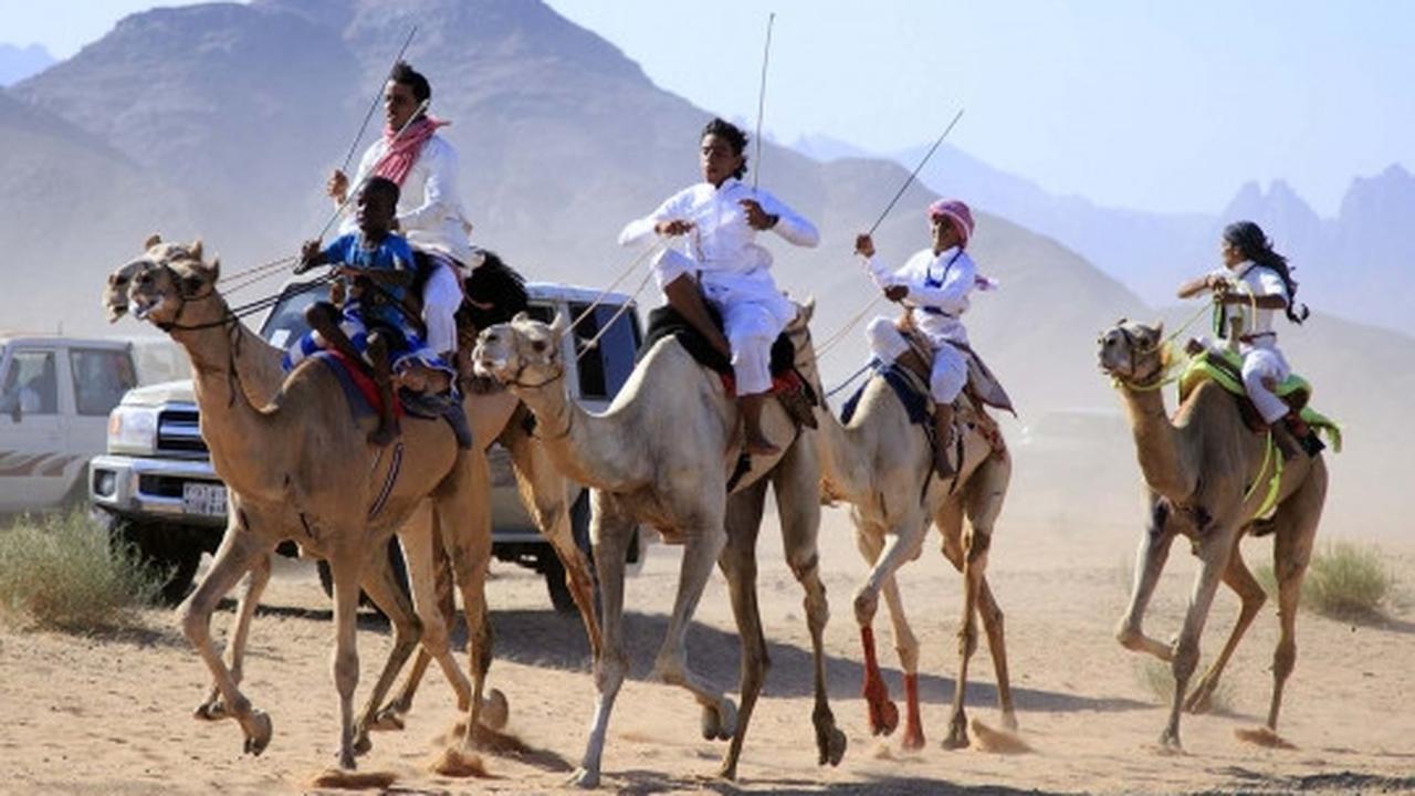 Tradisi balap unta meriahkan Idul Fitri di Arab Saudi