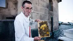 Peternak lebah, Uwe Marth menunjukkan sarang lebah madu yang diproduksi di atap Katedral Berlin di Berlin, 14 Mei 2018. Seseorang tidak akan mengira kalau ibu kota Jerman itu adalah lokasi ideal untuk beternak lebah dan produksi madu (AP/Markus Schreiber)