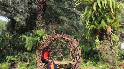 Menikmati Kekayaan Flora Nusantara di Tengah Jakarta