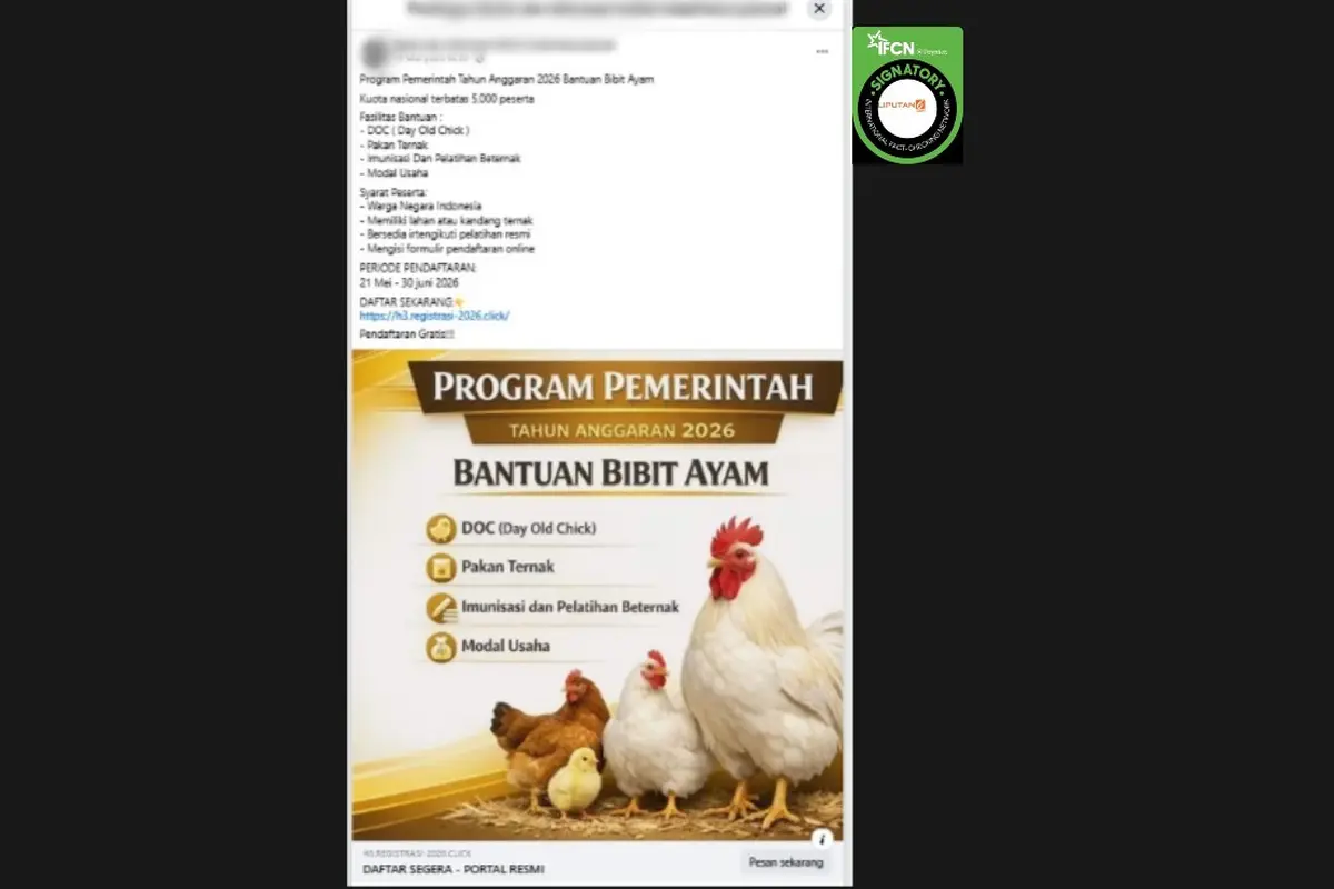 Cek Fakta Liputan6.com mendapati klaim link pendaftaran bantuan bibit ayam dari pemerintah periode 21 Mei - 30 Juni 2026