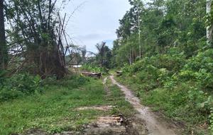 Taman Nasional Rawa Aopa Watumaohai Konawe Selatan (Liputan6.com/Ahmad Akbar Fua)