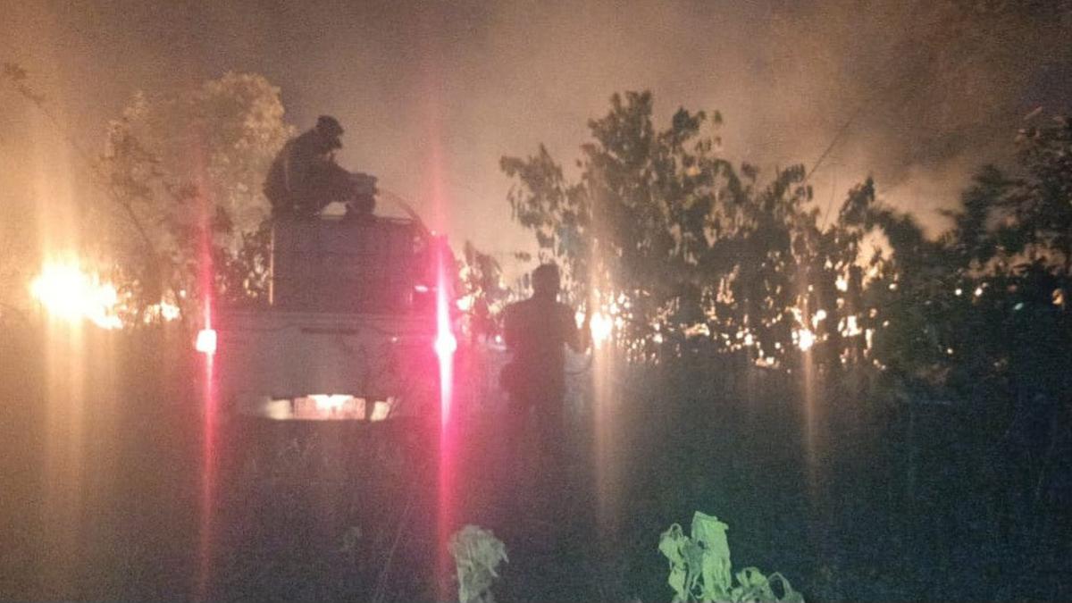 Karhutla di TN Way Kambas, Lebih dari 2.600 Hektare Lahan Konservasi Terbakar