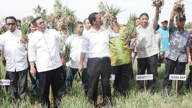 Mentan: Pasokan Bawang Meah Dipenuhi dari Dua Sentra Produksi