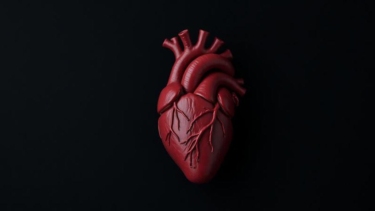 Penyakit Jantung Bawaan, Kenali Tipe dan Gejalanya Sejak Dini