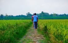 Kenalan dengan Gacong, Petani Dadakan yang hanya Ada di Banten