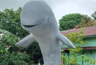 Patung Pesut Mahakam (Dok @gerbang.nusantara.berita)