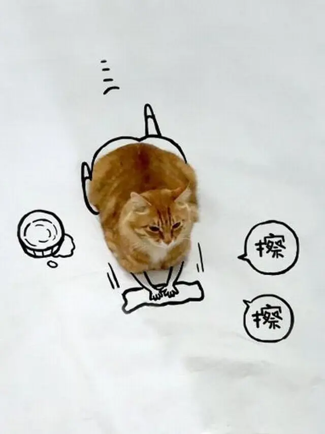 Lucunya 7 Kreasi Coretan di Foto Kucing Duduk Ini Bikin Tersenyum